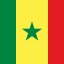 Flag_of_Senegal_Flat_Square-64x64-1.jpg